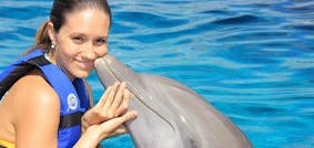 Rencontre avec les dauphins, Formule Dolphin Encounter à Anguilla/ Depuis Saint-Martin