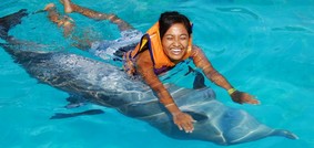 Rencontre avec les dauphins, Formule Royal Swim  Anguilla/ Depuis Saint-Martin