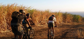 Mountain Bike Trails on the North of Basse-Terre