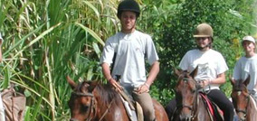 Horse and Poney Trekking on Grande-Terre