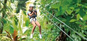 CANOPY ZIP LINE AT DENNERY