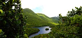 Discover 2 islands, Guadeloupe / Dominica